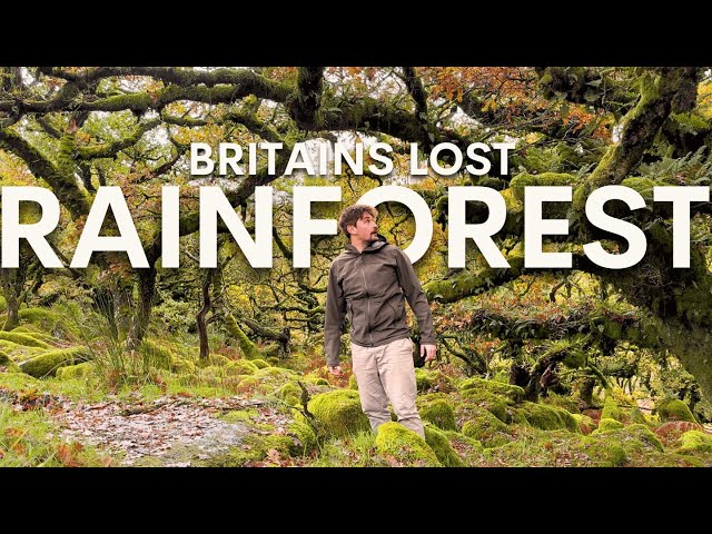 I Explored the UK's Rarest Habitat & found something amazing...