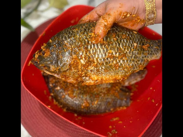 Masala fish fry _Fish fry recipe _Fish fry Pakistani _Fish fry by Tehsin’s daily cooking vlogs