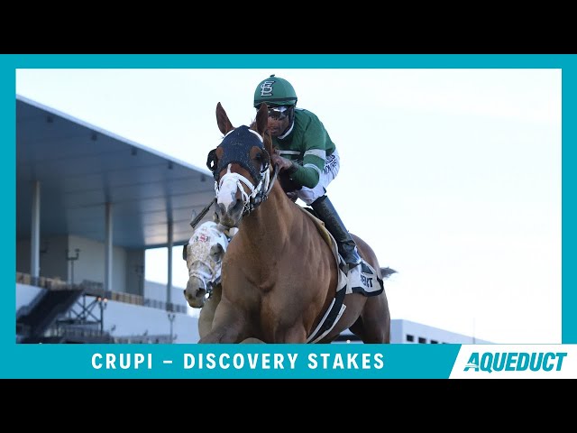 Crupi - 2023 - The Discovery