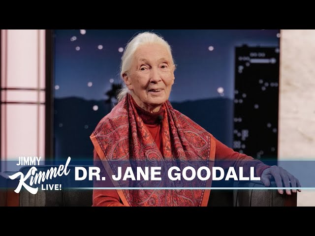 Dr. Jane Goodall on Living with Chimps, Their Language & the Possibility of Bigfoot