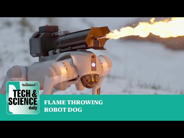 The flame-throwing robot dog named Thermonator for sale in America ...Tech & Science Daily podcast