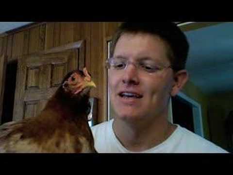 Chicken Head Tracking - Smarter Every Day