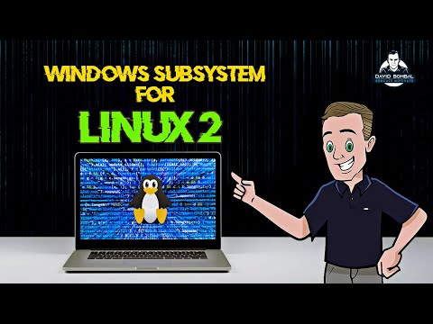 WSL 2 (Windows Subsystem for Linux)