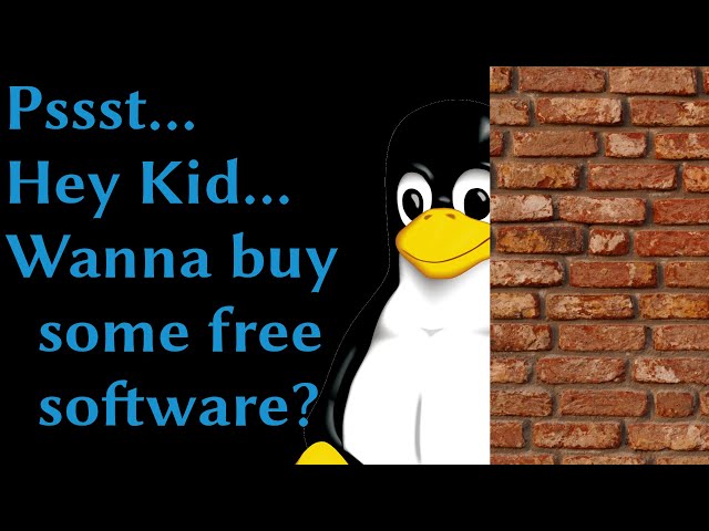 "How did you first get into Linux?"