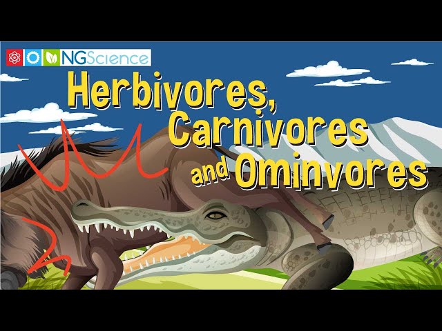 Herbivores, Carnivores and Ominvores