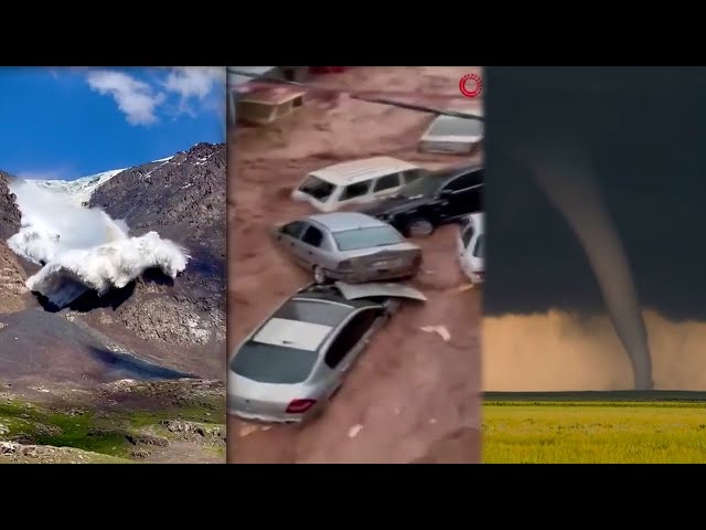 Caught on Camera: Mother Nature Goes Wild I Livestream