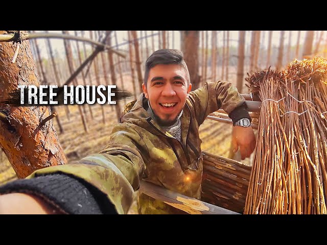 Building a tree house in a wild forest. Deadwood lounger. Hay roof. Part 4.