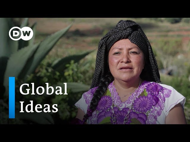 Mexico: Sustainable tourism | Global Ideas