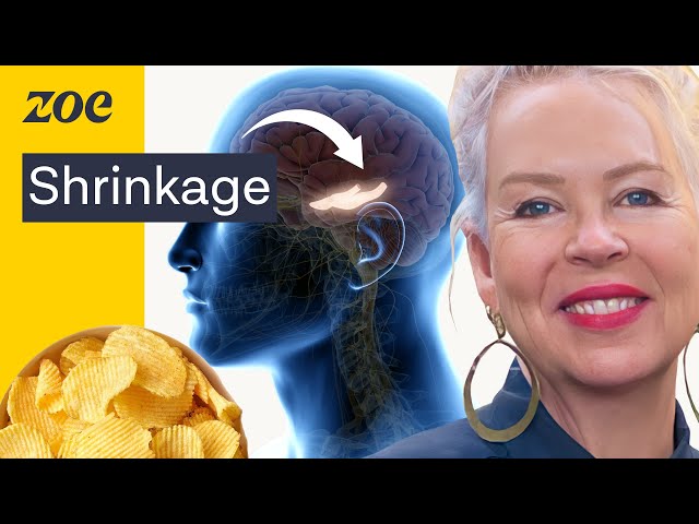 Ultra-processed foods will damage your brain! | Prof Felice Jacka