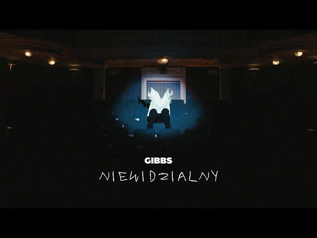 Gibbs - Niewidzialny