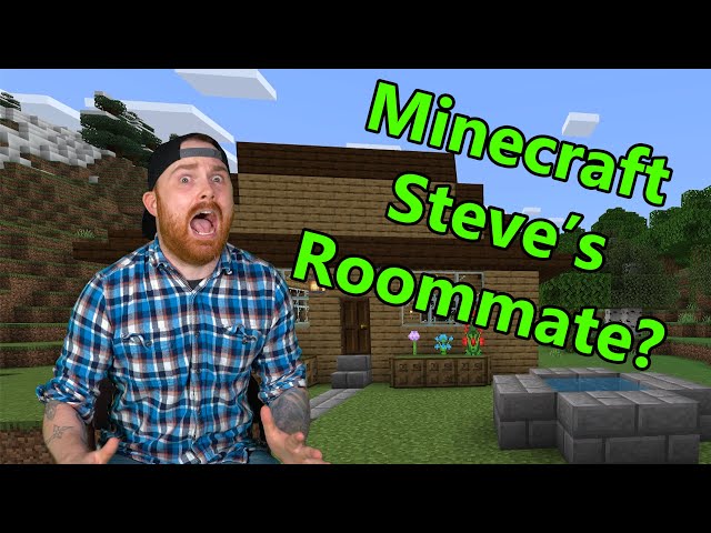 If Minecraft Steve Had a Roommate