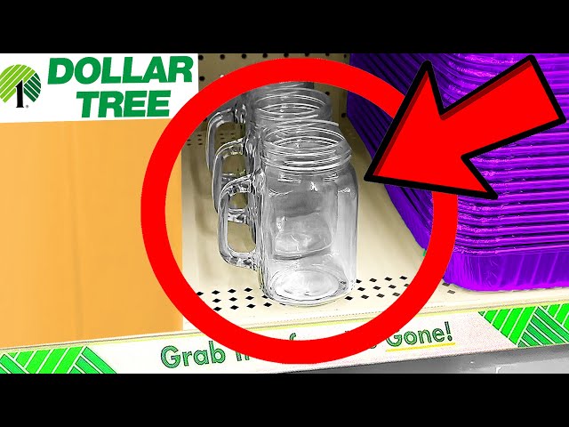 10 Things You SHOULD Be Buying at Dollar Tree in August 2023