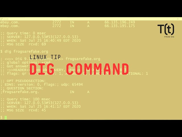 How to use the dig command: 2-Minute Linux Tips