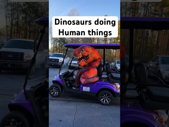 How many Dinos do you count?