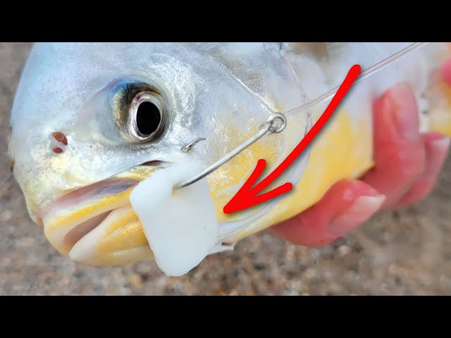 How To Use Fishbites For Surf Fishing (Tips, Pros, & Cons)