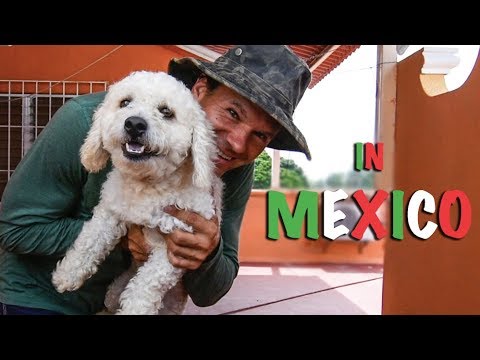 In Mexico Vlog