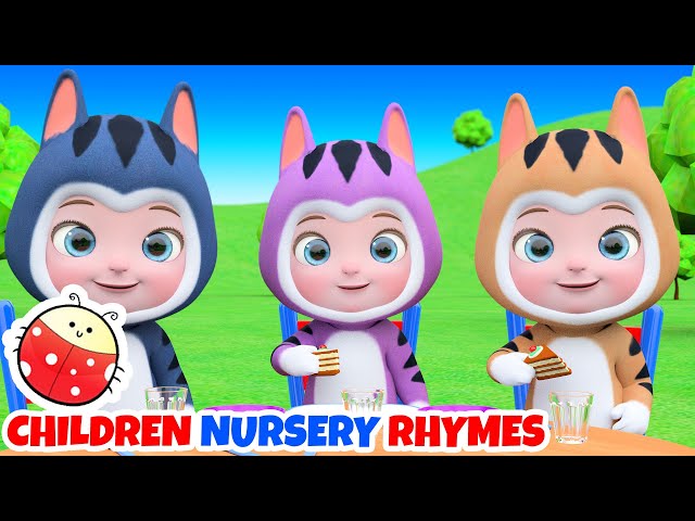 Three Little Kittens Nursery Rhymes | Children Nursery Rhymes & Kids Songs | Funny Animals Videos