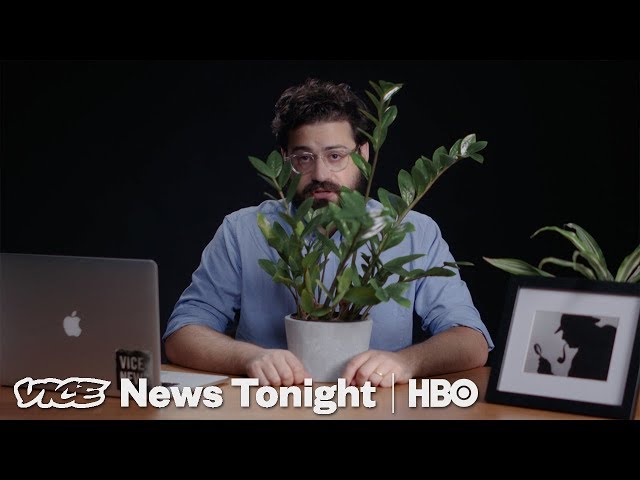 The Internet Thinks It Knows Who Wrote That Anonymous Op-Ed (HBO)