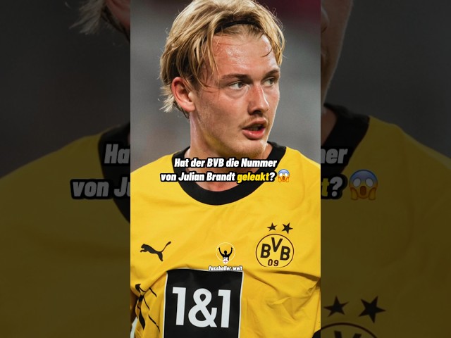 Hat der BVB die Nummer von Julian Brandt geleakt? 😱