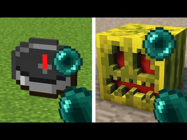 what's inside minecraft blocks and mobs ? part 10