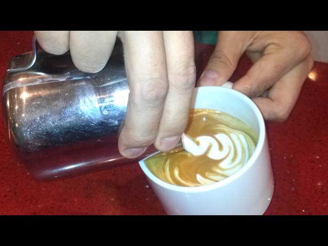 latte art at Arbuz