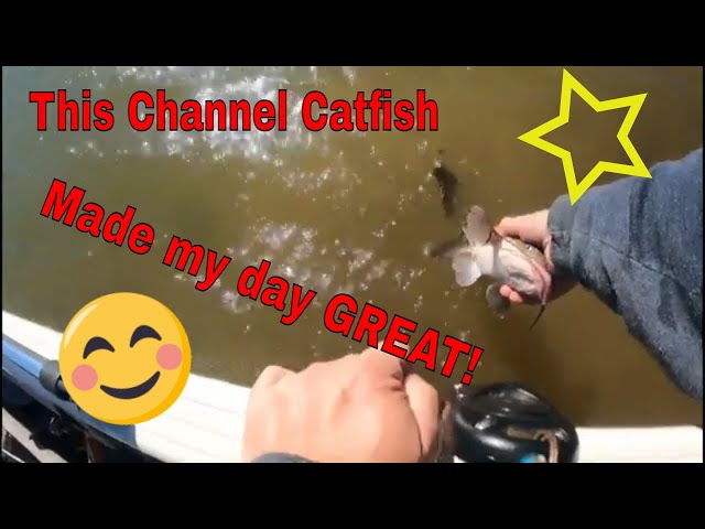 Fun Fishing Short Video (CAN YOU WATCH IT ALL?)