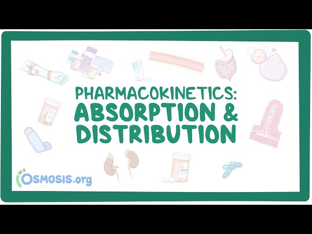 Pharmacokinetics: Drug absorption and distribution