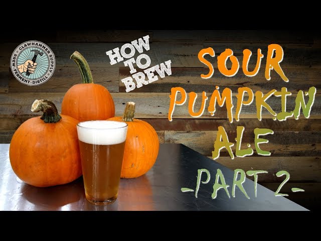 Brewing Beer: Sour Pumpkin Ale Homebrew - Part II