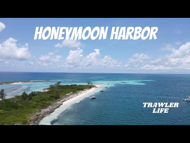 Swimming with Stingrays || Honeymoon Harbor Bimini || Finding Conch || TRAWLER living in the Bahamas