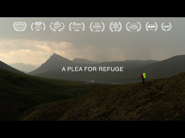 A Plea For Refuge