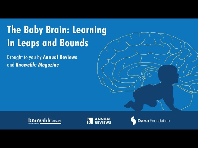 The baby brain: Learning in leaps and bounds
