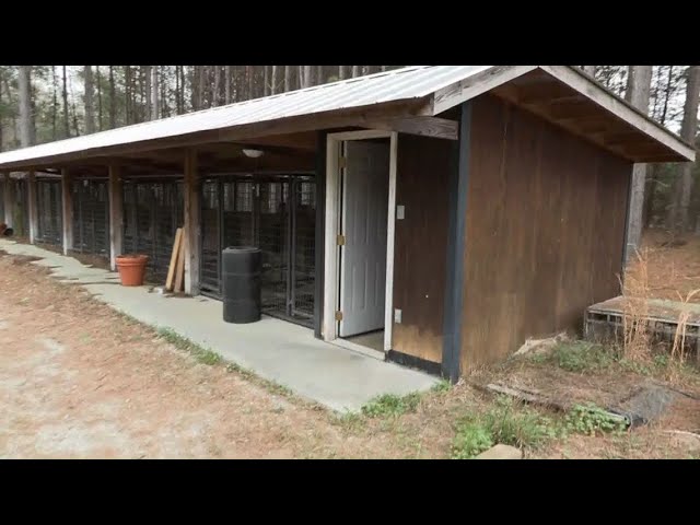 Tour of Moselle property where Murdaugh murders happened: Raw video