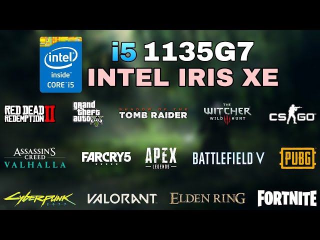 i5 1135G7 | Intel Iris Xe Graphics | Test in 15 Games in 2022