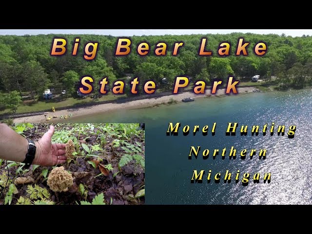 Northern Michigan Camping and Morel Hunting