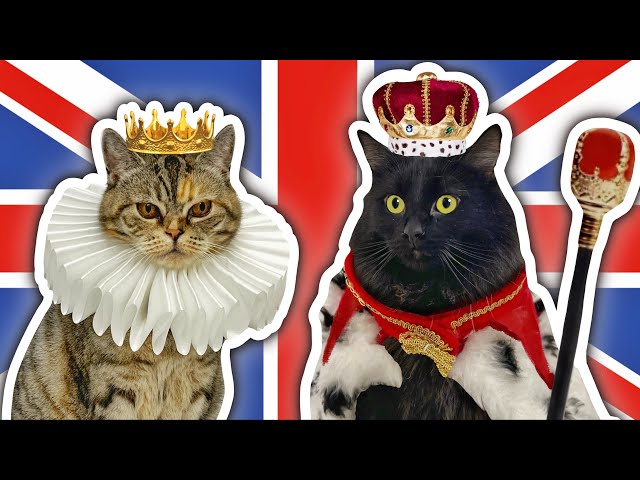 I LEGALLY Made My Cats LORD & LADY!