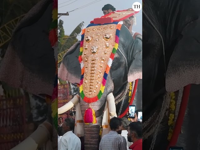 Now, a 'robotic' temple elephant in Tamil Nadu