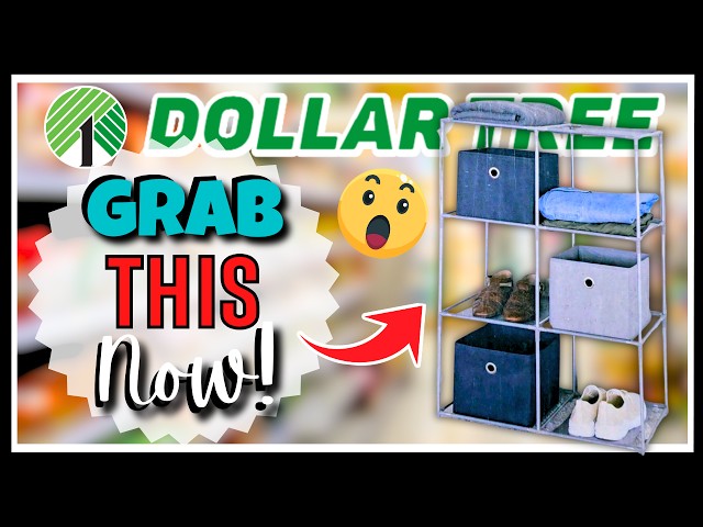 *RUN* to DOLLAR TREE & GRAB These NOW! NEW Finds to HAUL! New Arrivals & NEVER Seen BEFORE Items!