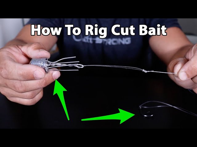 Best Cut Bait Rig For Redfish and Black Drum (When Fishing Strong Current)