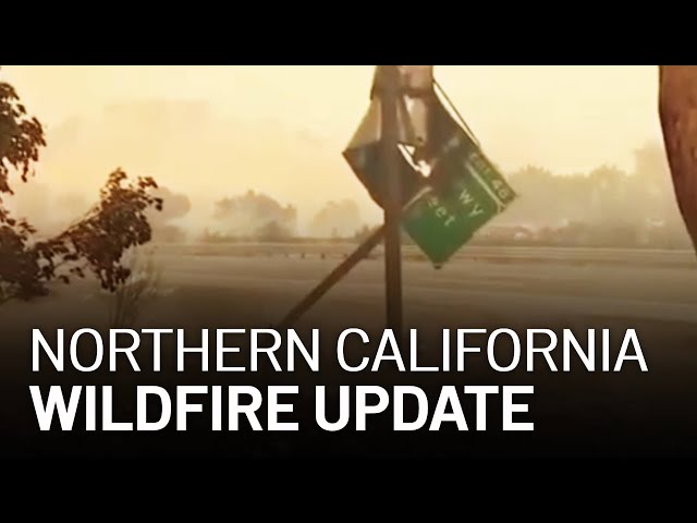 LIVE: Updates on California Wildfires, Evacuations [8/19 6PM]