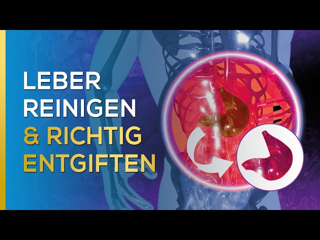 Deine Leber reinigen & richtig entgiften! (wirkt sofort) | Dr. Ulrich Bauhofer (Teil 3/3)