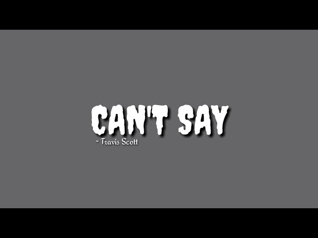 Can't Say - Travis Scott || lyrics