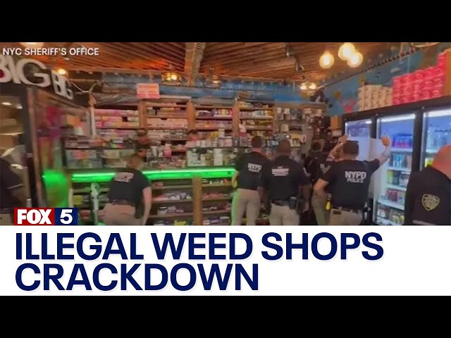 'Padlock to Protect': NYC cracking down on illegal weed shops