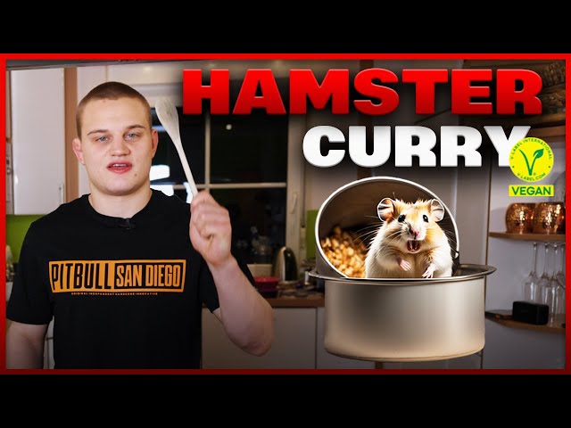 Veganes Hamster-Kokos-Curry 🍛🐹