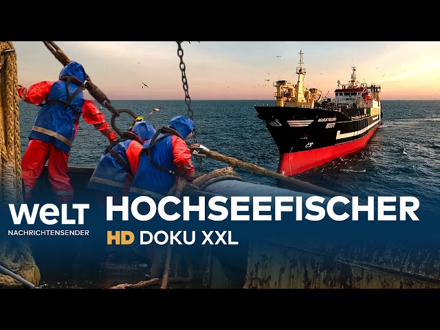 Deutschlands größter Hochseetrawler auf Fangfahrt | HD Doku XXL