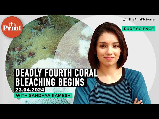 Fourth global mass coral bleaching rings marine alarms