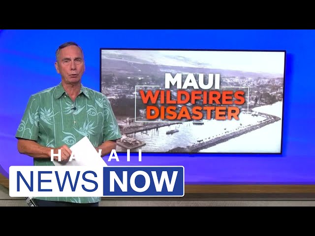 State’s highly-anticipated independent probe into Maui wildfires delayed again