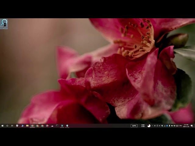 How to add accent color and dark theme to Windows Search on Windows 10