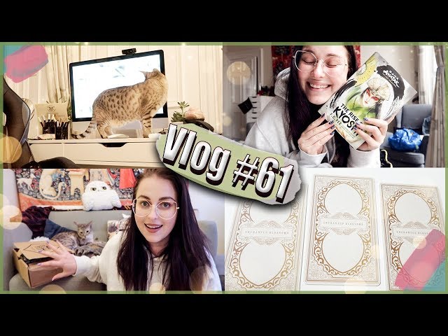 Post, Geek Gear Harry Potter unboxing, kitty TV and life update | Book Roast