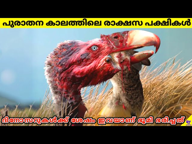 Terror Birds: Terrifying Prehistoric Rulers After Dinosaurs | Facts Malayalam | 47 ARENA