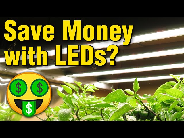 Electrical Savings: LED Payoff Cost Calculator (High Efficiency Upgrades for Home & Grow Lights)